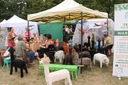 Święto Gminy Jabłonna 2025 r., foto nr 36, Michał Janczewski